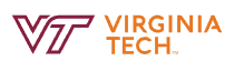 Estudiar inglés en Fairfax, Virginia, Estados Unidos en Virginia Tech Language and Culture Institute (National Capital Region)