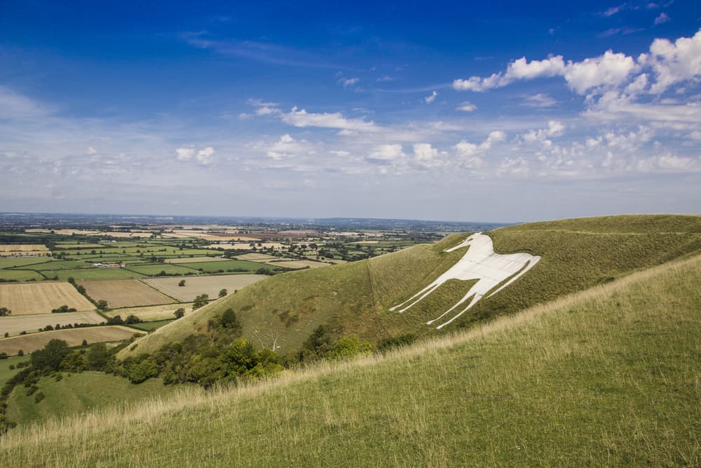 White Horse, Westbury, Inglaterra